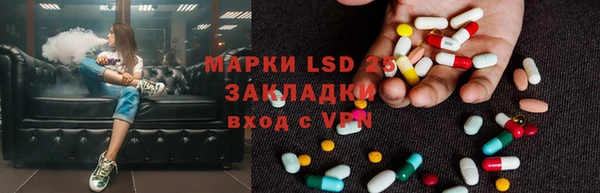кокс Алексин