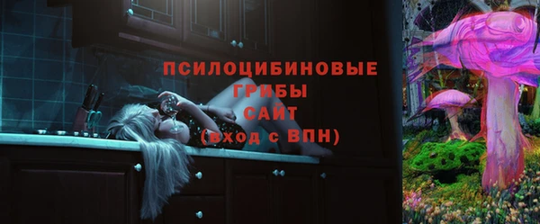 сатива Нягань