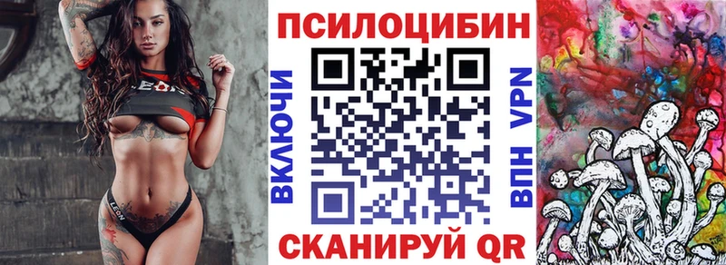 Псилоцибиновые грибы Psilocybine cubensis Черкесск