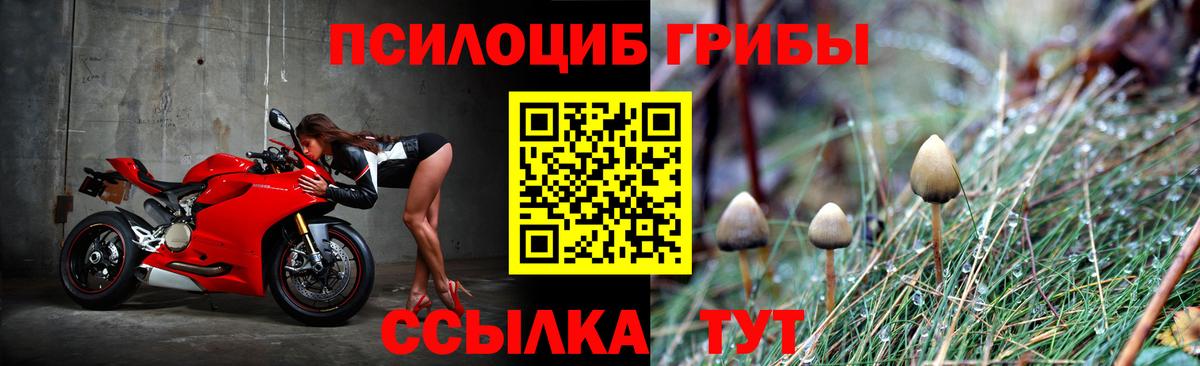 Псилоцибиновые грибы мицелий Черкесск